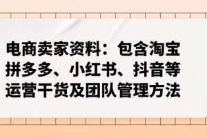 电商卖家资料：包含淘宝、拼多多、小红书、抖音等运营干货及团队管理方法