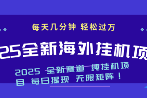 2025最新海外挂机项目：每天几分钟，轻松月入过万