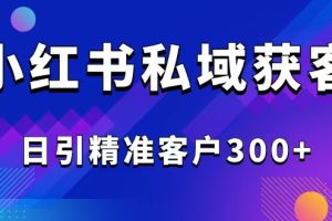 2025最新小红书平台引流获客截流自热玩法讲解，日引精准客户300+
