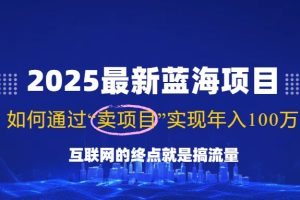 2025最新蓝海项目，零门槛轻松复制，月入10万+，新手也能操作！