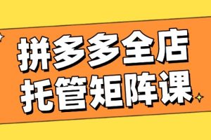 拼多多全店托管矩阵课，盈利动销玩法，高效计划设置，提升店铺效益
