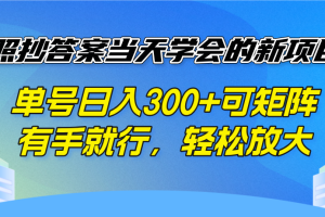 照抄答案当天学会的新项目，单号日入300 +可矩阵，有手就行，轻松放大