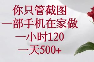 你只管截图，一部手机在家做，一小时120，一天500+