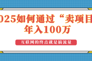 2025年如何通过“卖项目”实现100万收益：最具潜力的盈利模式解析