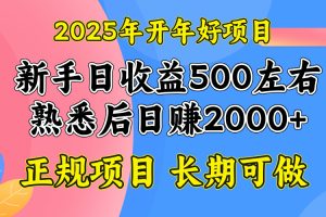 2025开年好项目，单号日收益2000左右