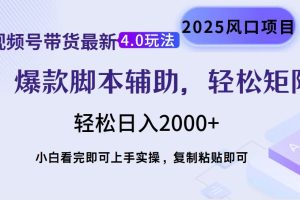 视频号带货最新4.0玩法，作品制作简单，当天起号，复制粘贴，轻松矩阵…