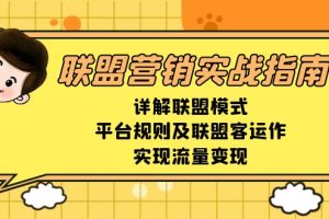 联盟营销实战指南，详解联盟模式、平台规则及联盟客运作，实现流量变现