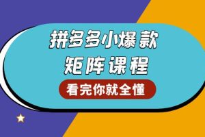 拼多多爆款矩阵课程：教你测出店铺爆款，优化销量，提升GMV，打造爆款群