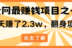 小白必学项目，纯手机简单操作收益非常高!年前翻身！