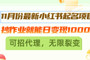 11月份最新小红书起名项目，抄作业就能日变现1000+，可招代理，无限裂变