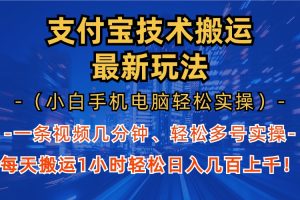 支付宝分成技术搬运“最新玩法”（小白手机电脑轻松实操1小时） 轻松日…