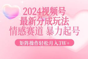 2024最新视频号分成玩法,情感赛道,暴力起号,矩阵操作轻松月入3W+