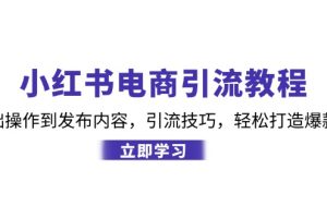 小红书电商引流教程:从基础操作到发布内容,引流技巧,轻松打造爆款产品
