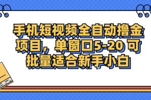 手机短视频掘金项目，单窗口单平台5-20 可批量适合新手小白