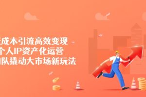低成本引流高效变现，个人IP资产化运营，小团队撬动大市场新玩法