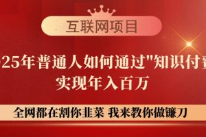 【网创项目终点站-镰刀训练营超级IP合伙人】25年普通人如何通过“知识…