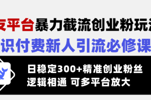 交友平台暴力截流创业粉玩法,知识付费新人引流必修课,日稳定300+精准…