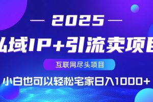私域IP+引流卖项目,小白也可以做到轻松宅家日入1000+