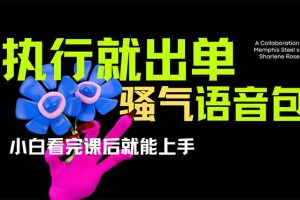 爆火全网的开车导航骚气语音包,只要执行就出单,小白看完课程就能实操…