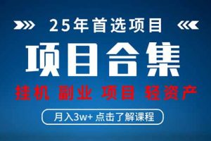 2025 实操项目合集 挂机类型 直播类型 轻资产创业类型 课程分享各项目…
