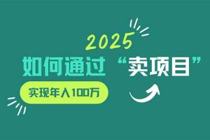 2025年如何通过“卖项目”实现年入100万
