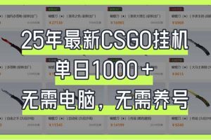 25年最新CSGO挂机系统，单日1000+，无需电脑，无需养号，0基础可上手