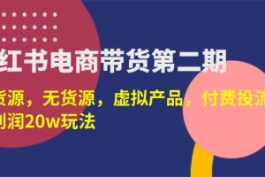 ，有货源，无货源，虚拟产品，付费投流，月利润20w