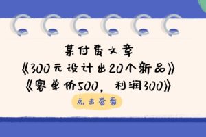 某付费文章：《300元设计出20个新品》+《客单价500，利润300》