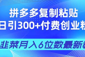 拼多多复制粘贴日引300+付费创业粉，割韭菜月入6位数最新教程！