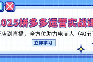 2025拼多多运营实战课，从开店到直播，全方位助力电商人（40节课）