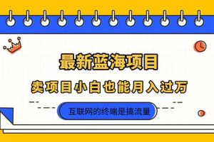 2025年最新蓝海项目，卖项目小白也能月入过万