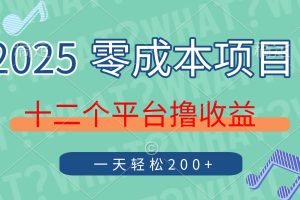 2025年零成本项目，十二个平台撸收益，单号一天轻松200+
