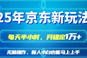 25京东新玩法，每天半小时，月稳定1W+