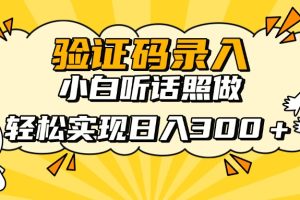信息录入项目，10秒一单，新手小白听话照做快速上手，实现日入300＋