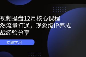 短视频操盘12月核心课程：自然流量打通，现象级IP养成，实战经验分享