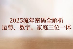 2025流年密码全解析，运势、数字、家庭三位一体