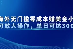 最新海外无门槛零成本赚美金小众项目可放大操作，单日可达300+