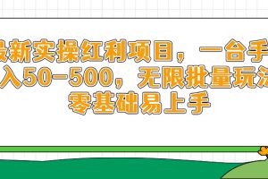 最新实操红利项目，一台手机日入50-500，无限批量玩法，零基础易上手
