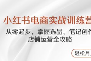 小红书电商实战训练营，从零起步，掌握选品、笔记创作、店铺运营全攻略…