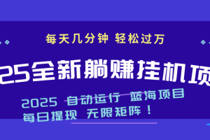 2025z最新挂机躺赚项目 一个月轻松上万