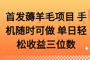 薅羊毛项目 手机随时可做 单日轻松收益三位数