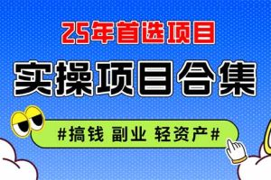 2025实操项目合集 挂机类型 直播类型 轻资产创业类型 课程分享各项目介…