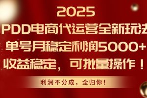 2025PDD电商代运营全新玩法，单号月稳定利润5000+，收益稳定，可批量操作