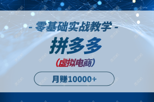 拼多多虚拟电商，零基础实战教学，快速打爆商品，新手也能月入10000+