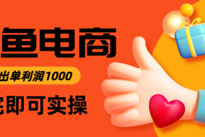 闲鱼高利润电商，入门到出单只需3小时，每天利润1000