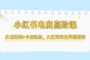 小红书电商高阶课，多店矩阵+卡位选品，大红海类目突围指南（更新5月）