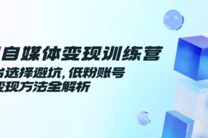 AI自媒体变现训练营,平台选择避坑,低粉账号高变现方法全解析