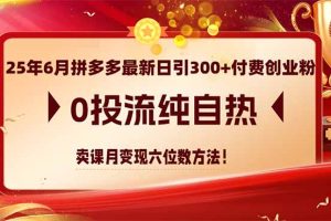 25年6月拼多多最新日引300+付费创业粉,0投流纯自热 卖课月变现六位数方法