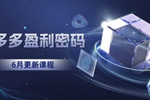 拼多多盈利密码:从烧钱推广到印钞模型,底层逻辑重构指南(6月更新)