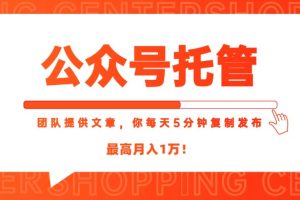 【公众号托管 】我提供文章，你每天５分钟复制发布，最高月入1W